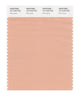 Pantone SMART Color Swatch 15-1318 TCX Pink Sand