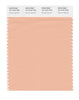 Pantone SMART Color Swatch 15-1319 TCX Almost Apricot