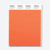 Pantone Polyester Swatch Card 15-1351 TSX Candied Yams