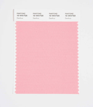 Pantone SMART Color Swatch 15-1919 TCX Dianthus