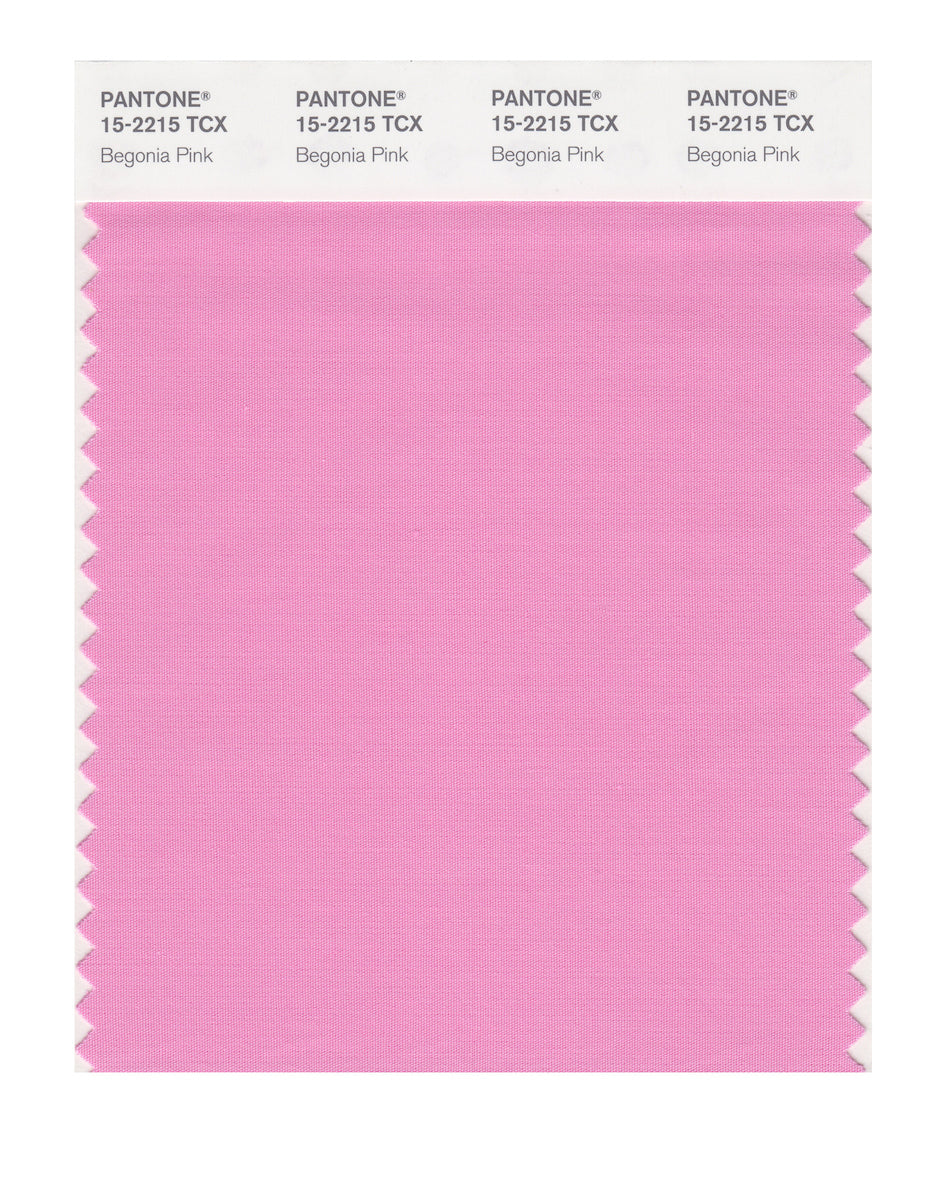 *KU－NA* Pantone 15-2215 Tcx Begonia Pink Color | Hex color Code