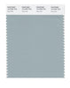 Pantone SMART Color Swatch 15-4706 TCX Gray Mist