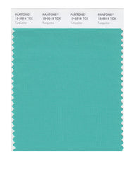 PANTONE カラースウォッチ 1995年版 15-5519_Turquoise_medium.jpg?v