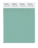 Pantone SMART Color Swatch 15-5711 TCX Dusty Jade Green