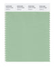 Pantone SMART Color Swatch 15-6114 TCX Hemlock