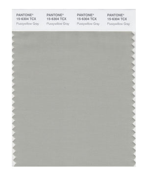 Pantone SMART Color Swatch 15-6304 TCX Pussywillow Gray