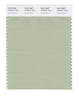 Pantone SMART Color Swatch 15-6313 TCX Laurel Green