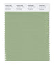 Pantone SMART Color Swatch 15-6316 TCX Fair Green