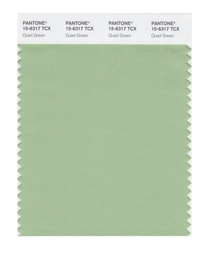 Pantone SMART Color Swatch 15-6317 TCX Quiet Green