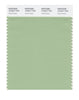 Pantone SMART Color Swatch 15-6317 TCX Quiet Green