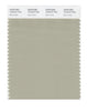 Pantone SMART Color Swatch 15-6410 TCX Moss Gray