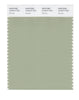 Pantone SMART Color Swatch 15-6414 TCX Reseda