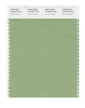 Pantone SMART Color Swatch 15-6423 TCX Forest Shade