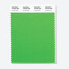 Pantone Polyester Swatch Card 16-0163 TSX Lounge Lizard