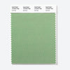 Pantone Polyester Swatch Card 16-0223 TSX Bull Kelp