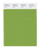 Pantone SMART Color Swatch 16-0237 TCX Foliage
