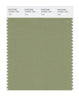 Pantone SMART Color Swatch 16-0421 TCX Sage