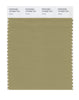 Pantone SMART Color Swatch 16-0526 TCX Cedar