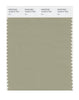 Pantone SMART Color Swatch 16-0613 TCX Elm