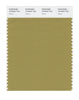 Pantone SMART Color Swatch 16-0632 TCX Willow