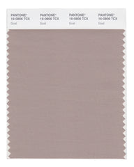 PANTONE 色見本 FASHION,,INTERIORS 16-0806_Goat_medium.jpg?v=