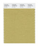 Pantone SMART Color Swatch 16-0836 TCX Rich Gold