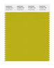 Pantone SMART Color Swatch 16-0840 TCX Antique Moss