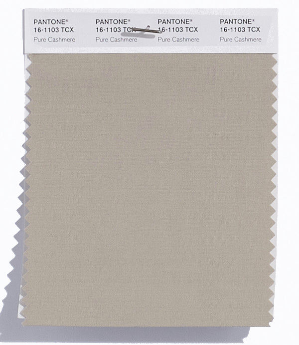 Pantone SMART Color Swatch Card 16-1103 TCX Pure Cashmere - Columbia ...