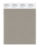 Pantone SMART Color Swatch 16-1107 TCX Aluminum