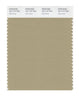 Pantone SMART Color Swatch 16-1110 TCX Olive Gray