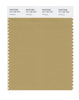 Pantone SMART Color Swatch 16-1126 TCX Antelope