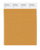 Pantone SMART Color Swatch 16-1140 TCX Yam