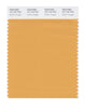 Pantone SMART Color Swatch 16-1142 TCX Golden Nugget