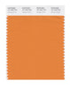 Pantone SMART Color Swatch 16-1253 TCX Orange Ochre