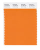 Pantone SMART Color Swatch 16-1255 TCX Russet Orange