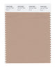 Pantone SMART Color Swatch 16-1317 TCX Brush