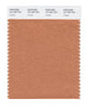 Pantone SMART Color Swatch 16-1325 TCX Copper