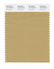 Pantone SMART Color Swatch 16-1326 TCX Prairie Sand