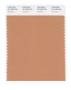 Pantone SMART Color Swatch 16-1328 TCX Sandstone