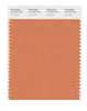 Pantone SMART Color Swatch 16-1337 TCX Coral Gold