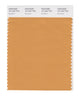 Pantone SMART Color Swatch 16-1342 TCX Buckskin
