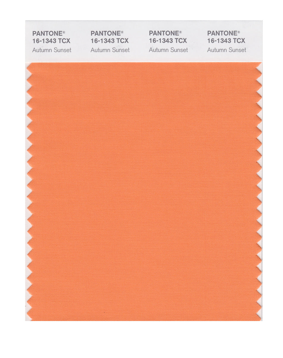 Pantone SMART Color Swatch Card 16-1343 TCX Autumn Sunset - Columbia ...
