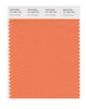 Pantone SMART Color Swatch 16-1344 TCX Dusty Orange