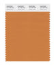 Pantone SMART Color Swatch 16-1346 TCX Golden Ochre