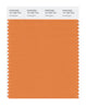 Pantone SMART Color Swatch 16-1350 TCX Amberglow