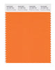 Pantone SMART Color Swatch 16-1356 TCX Persimmon Orange