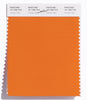 Pantone SMART Color Swatch 16-1358 TCX Orange Tiger