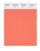 Pantone SMART Color Swatch 16-1360 TCX Nectarine