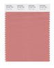 Pantone SMART Color Swatch 16-1431 TCX Canyon Clay