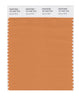 Pantone SMART Color Swatch 16-1443 TCX Apricot Buff